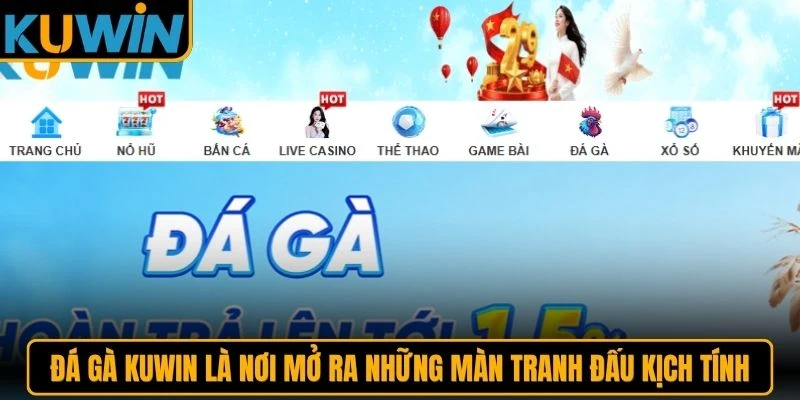 Đá gà KUWIN là nơi mở ra những màn tranh đấu kịch tính, liên tục