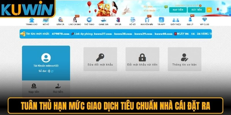 Tuân thủ hạn mức giao dịch tiêu chuẩn nhà cái đặt ra